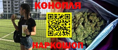 прущие грибы Краснодар