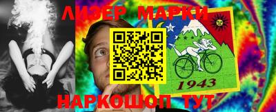 прущие грибы Краснодар