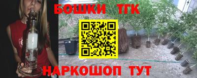 прущие грибы Краснодар
