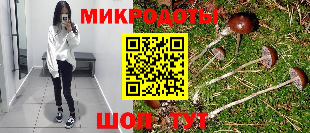 Псилоцибиновые грибы мицелий  где купить   Кизилюрт  Вход с VPN 